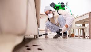 Best Pest Prevention Services  in Bear Creek, FL